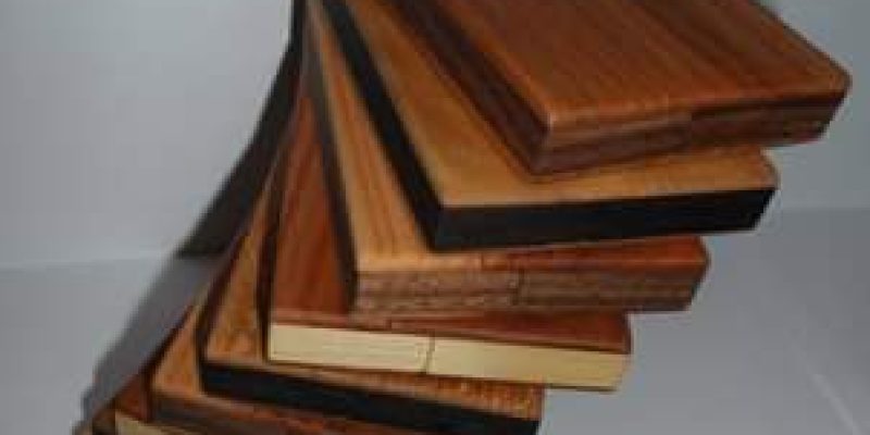 12370972_889085641211299_5495227456613335706_o