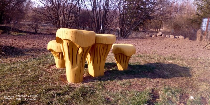 IMG_20200328_160431_9